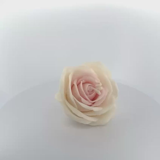 Handmade rose candle crafting process — Seraphics CA beeswax floral candle